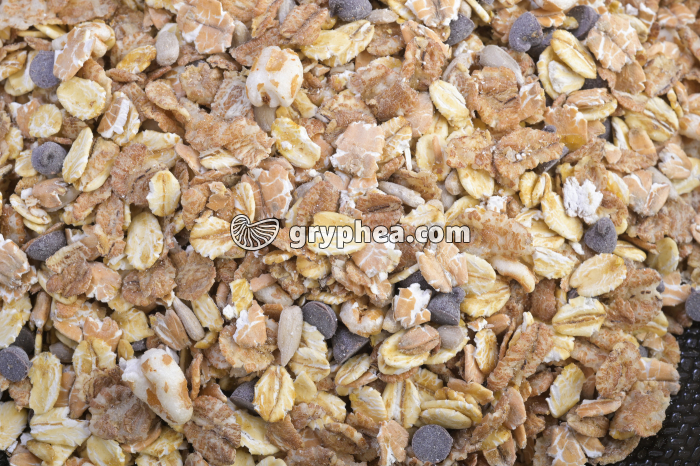 Céréales riches en féculents - gryphea.org